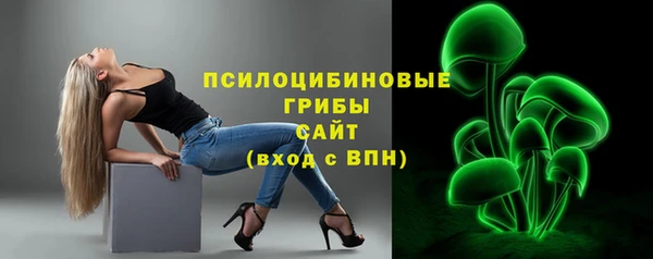 соль ск Протвино