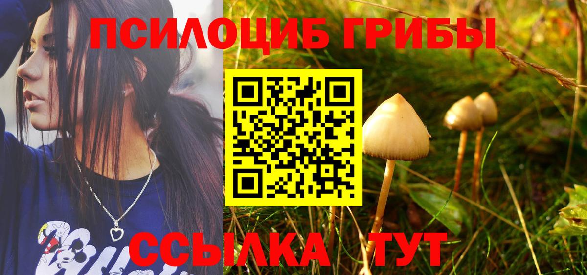 Галлюциногенные грибы Psilocybe  Вход с VPN  Киржач 