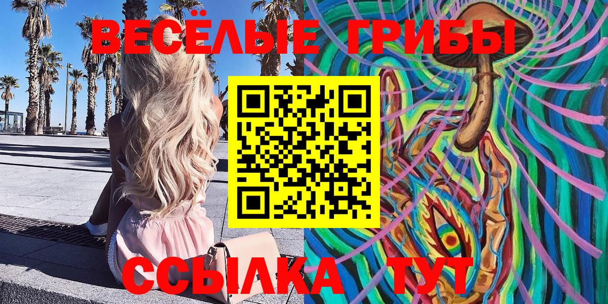 Галлюциногенные грибы Cubensis Киржач